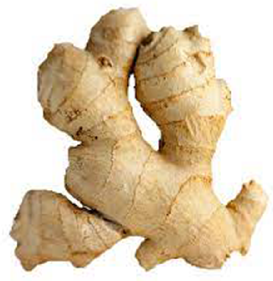 Ginger